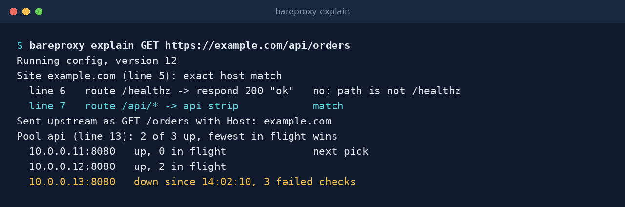 BareProxy explaining how it would handle a request: the rule that matched, the pool and the backend it would pick